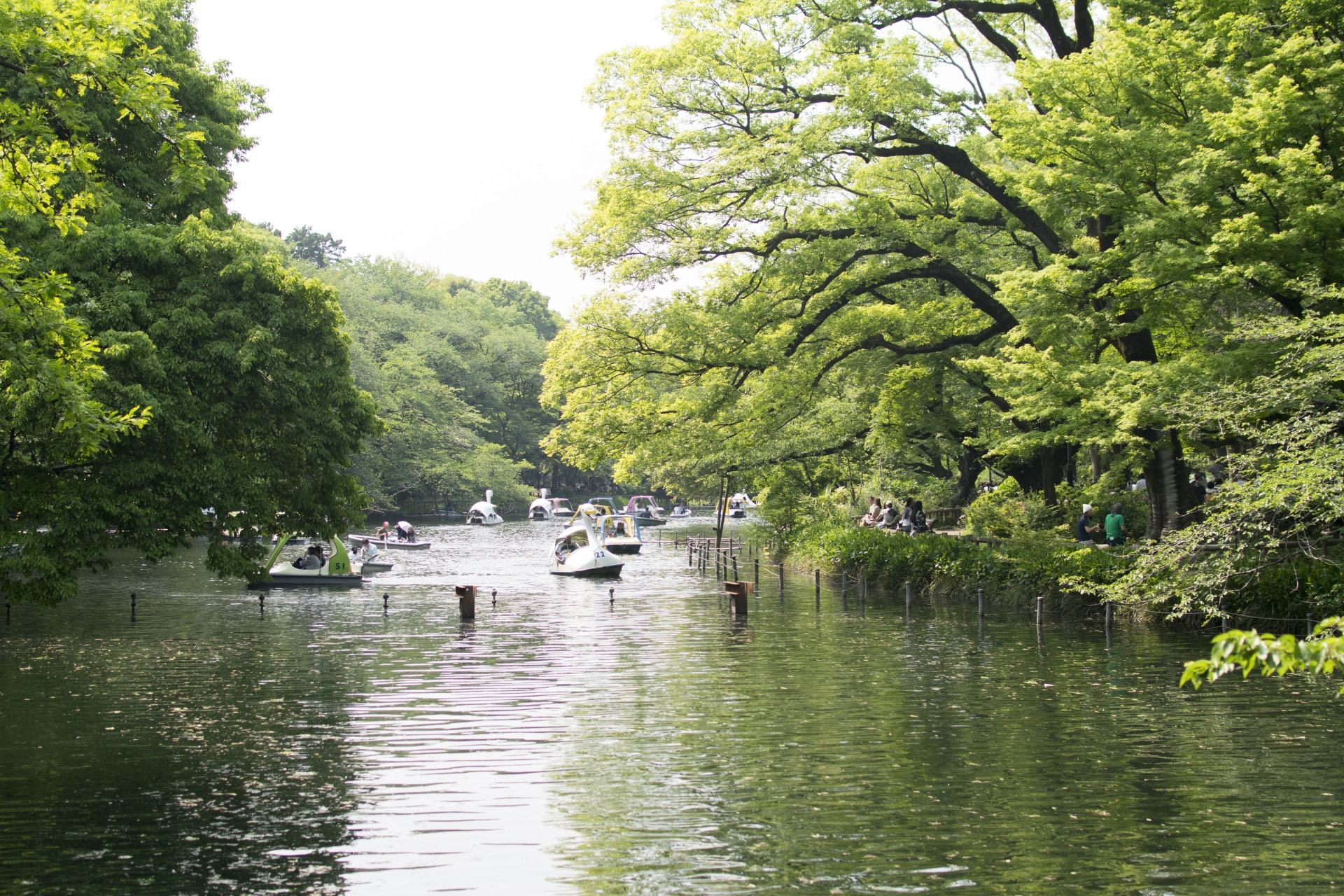 ぷらっと散策！(井の頭公園編)